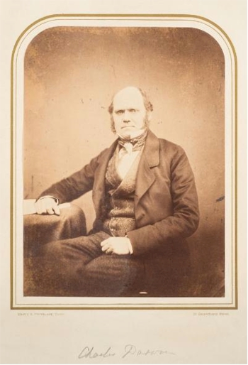 A rare photograph of Charles Darwin (BK18/336) fetched £5,200.