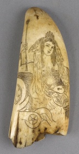 a 19th century scrimshaw decorated tooth with britannia decoration