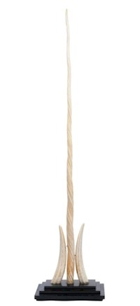 The Rare Early 20th Century Narwhal Tusk (FS20/888), mounted with two walrus tusks, attracted a winning bid of £9,600
        in the Works of Art auction of the Fine Sale.