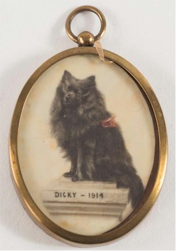 English School, Early 20th Century: A miniature portrait of a black Collie dog called Dicky (BK16/21).