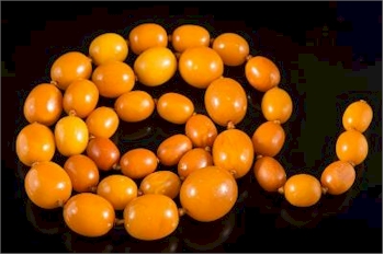 A graduated amber coloured bead, single-string necklace (FS32/206) went under the hammer for £4,600.