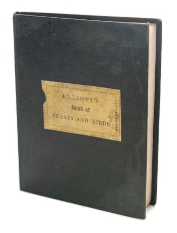 Mary Elliott's Book of Birds and Beasts (BK18/40) realised £1,150.