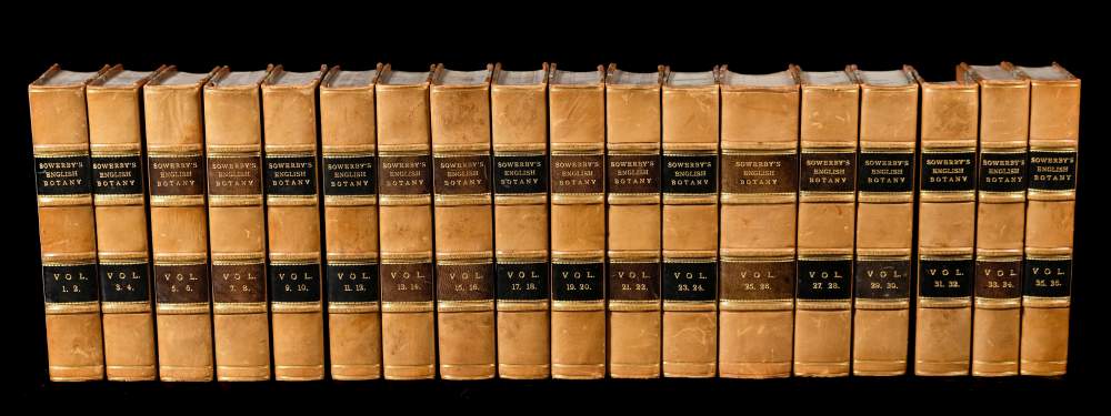 Sowerby, James & Smith, James Edward English Botany