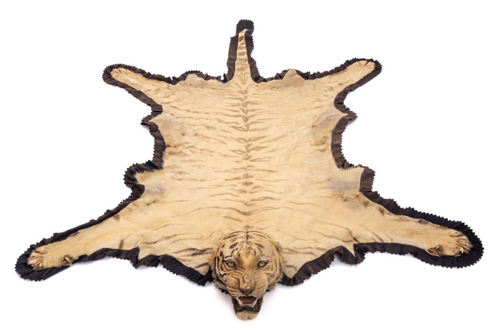A Pair Of Taxidermy Tiger Skin (Panthera Tigris) Rugs By Van Ingen & Van Ingen